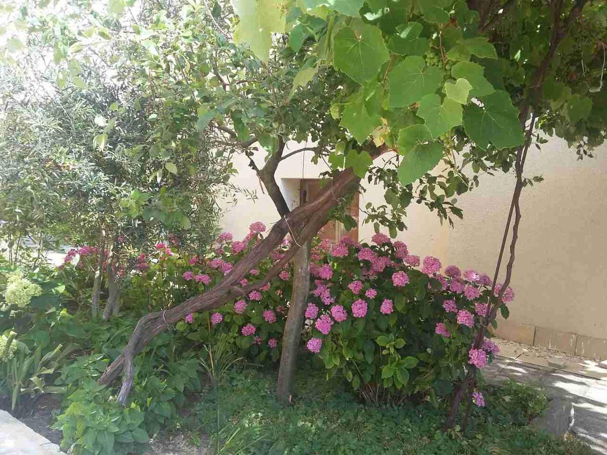 Guest House Adriya Primorsko Zewnętrze zdjęcie